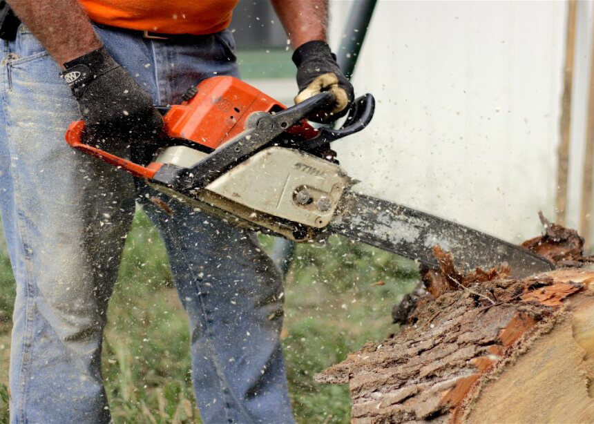 Safety Tips for Beginners Using Chainsaws